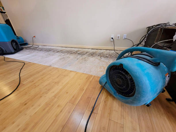 Professional Sewage Cleanup technician working in Fairfield, TX
